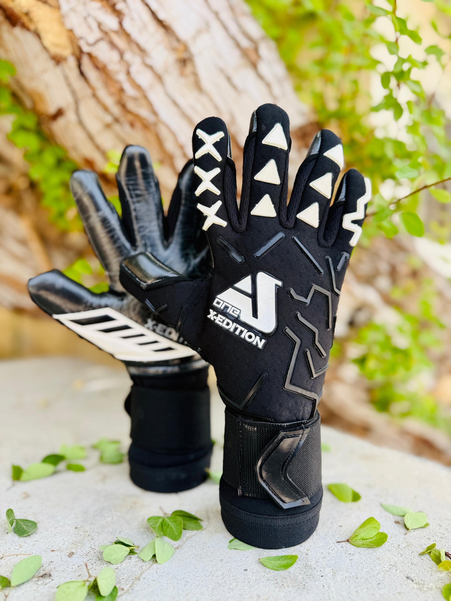 Asone X Edition Black